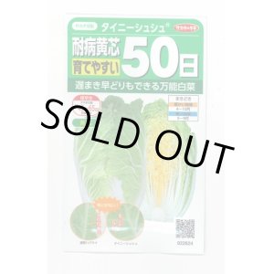 画像: 送料無料　[白菜]　タイニーシュシュ　約300粒　(株)サカタのタネ　実咲450（003430）