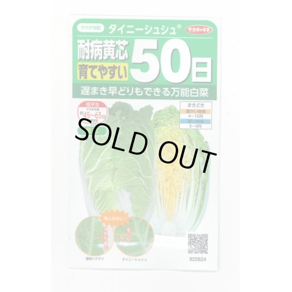 画像1: 送料無料　[白菜]　タイニーシュシュ　約300粒　(株)サカタのタネ　実咲450（003430） (1)