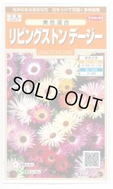 画像: 送料無料　花の種　リビングストンデージー　美色混合　約286粒　（株）サカタのタネ　実咲200（026369）