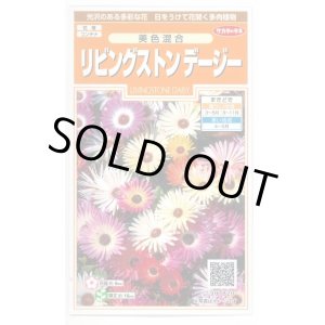 画像: 送料無料　花の種　リビングストンデージー　美色混合　約286粒　（株）サカタのタネ　実咲200（026369）