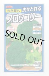 画像: 送料無料　[ブロッコリー]　緑笛　約110粒　(株)サカタのタネ　実咲450（002929）