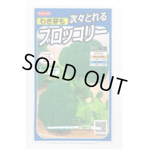 画像: 送料無料　[ブロッコリー]　緑笛　約110粒　(株)サカタのタネ　実咲450（002929）