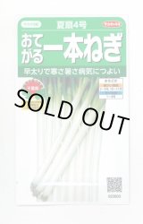 画像: 送料無料　[ねぎ]　夏扇4号　約400粒　(株)サカタのタネ　実咲450（003044）