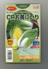 画像: 送料無料　[白菜]　CRお黄にいり　100粒　ペレット種子　タキイ種苗(株)