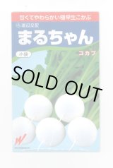 画像: 送料無料　[かぶ]　まるちゃん(こかぶ)1000粒　渡辺農事(株)