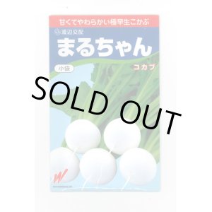 画像: 送料無料　[かぶ]　まるちゃん(こかぶ)1000粒　渡辺農事(株)