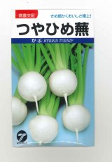 画像: 送料無料　[かぶ]　つやひめ蕪　3ml（約700粒）　(株)タカヤマシード