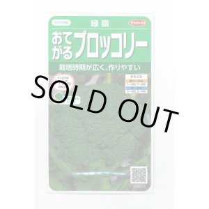 画像: 送料無料　[ブロッコリー]　緑嶺　約110粒　(株)サカタのタネ　実咲450（002930）