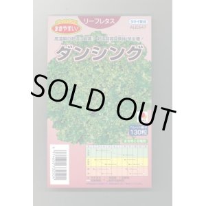 画像: 送料無料　[レタス]　ダンシング　ペレット130粒　タキイ種苗(株)