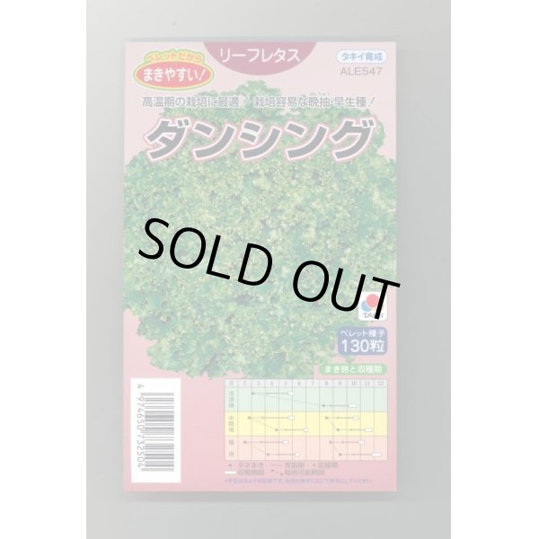 画像1: 送料無料　[レタス]　ダンシング　ペレット130粒　タキイ種苗(株) (1)