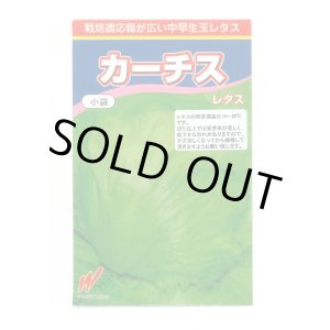 画像: 送料無料　[レタス]　カーチス　1ml　渡辺農事株式会社