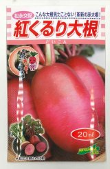 画像: 送料無料　[大根]　紅くるり　20ml　松永種苗(株)