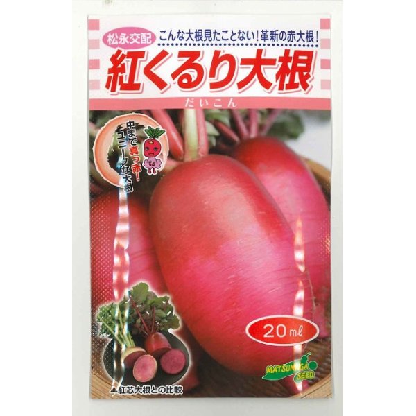 画像1: 送料無料　[大根]　紅くるり　20ml　松永種苗(株) (1)