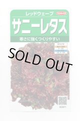 画像: 送料無料　[レタス]　レッドウェーブ　約1200粒　(株)サカタのタネ　実咲350（003031）