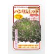 画像1: 送料無料　[レタス]　ハンサムレッド　100粒　横浜植木(株) (1)