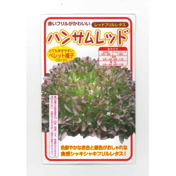 画像1: 送料無料　[レタス]　ハンサムレッド　100粒　横浜植木(株) (1)