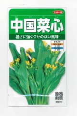 画像: 送料無料　[葉物]　中国菜心　約2200粒　(株)サカタのタネ　実咲250（002997）