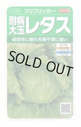 画像: 送料無料　[レタス]　耐病大玉レタス(フリフリッカー)およそ140粒　(株)サカタのタネ　実咲350（003027）