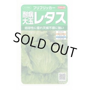 画像: 送料無料　[レタス]　耐病大玉レタス(フリフリッカー)およそ140粒　(株)サカタのタネ　実咲350（003027）