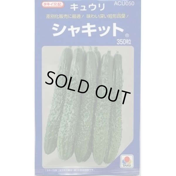 画像1: 送料無料　[キュウリ]　シャキット　350粒　タキイ種苗(株) (1)