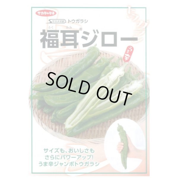 画像3: 送料無料　[トウガラシ]　福耳ジロー　約25粒　(株)サカタのタネ　実咲450（003730） (3)