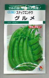 画像: 送料無料　[えんどう]　スナップエンドウ　グルメ　18ml(およそ30粒)　タキイ種苗(株)　GF