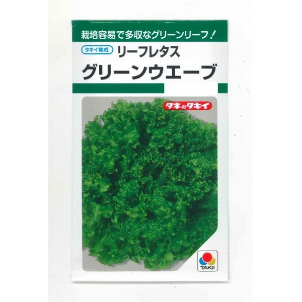 画像1: 送料無料　[レタス]　リーフレタス　グリーンウェーブ　1.8ml　タキイ種苗(株)　GF (1)