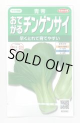 画像: 送料無料　[中国野菜]　チンゲンサイ　青帝チンゲンサイ　約500粒　(株)サカタのタネ　実咲350（002991）