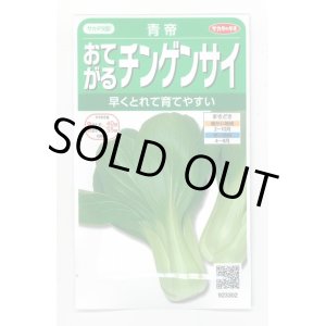 画像: 送料無料　[中国野菜]　チンゲンサイ　青帝チンゲンサイ　約500粒　(株)サカタのタネ　実咲350（002991）