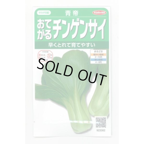 画像1: 送料無料　[中国野菜]　チンゲンサイ　青帝チンゲンサイ　約500粒　(株)サカタのタネ　実咲350（002991） (1)