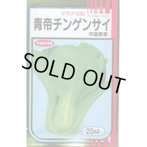 画像: 送料無料　[中国野菜]　チンゲンサイ　青帝チンゲンサイ　20ml(2024年5％増量)　(株)サカタのタネ