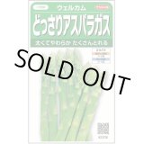 画像: 送料無料　[アスパラガス]　ウェルカム　約20粒　(株)サカタのタネ　実咲400（003040）