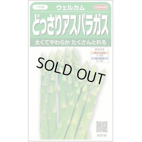 画像1: 送料無料　[アスパラガス]　ウェルカム　約20粒　(株)サカタのタネ　実咲450（003040） (1)