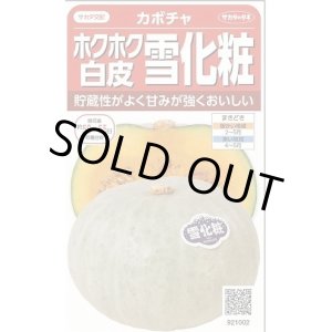 画像: 送料無料　[かぼちゃ]　雪化粧　約8粒　(株)サカタのタネ　実咲450（002868）