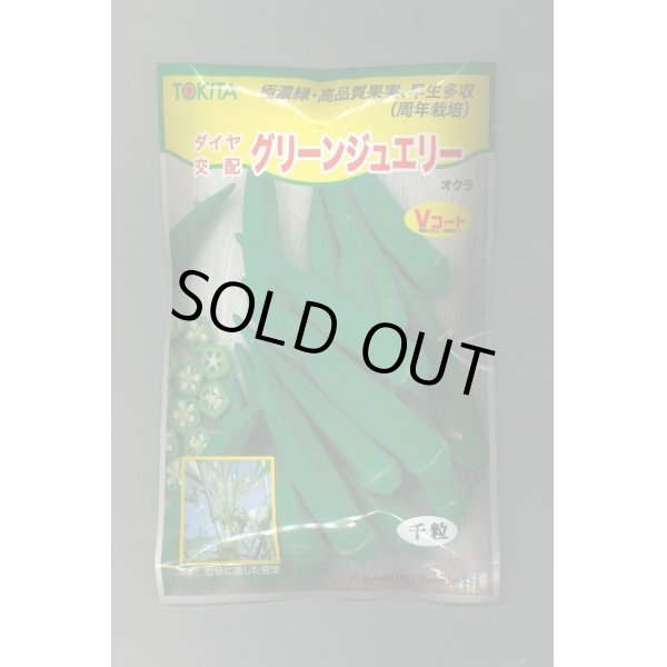 画像1: 送料無料　[オクラ]　グリーンジュエリー　1000粒　トキタ種苗(株) (1)