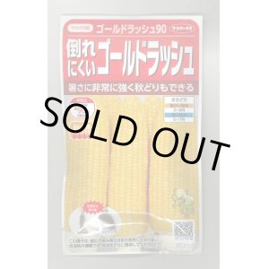 画像: 送料無料　[とうもろこし]　ゴールドラッシュ90　約55粒　(株)サカタのタネ　実咲450（002890）