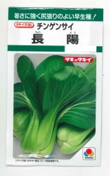 画像: 送料無料　[中国野菜]　チンゲンサイ　長陽　2.7ml　タキイ種苗(株)　GF