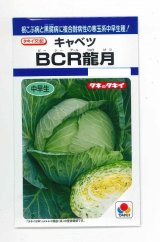 画像: 送料無料　[キャベツ]　ＢＣＲ龍月　160粒　タキイ種苗(株)　DF