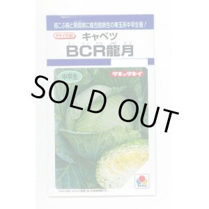 画像: 送料無料　[キャベツ]　ＢＣＲ龍月　160粒　タキイ種苗(株)　DF