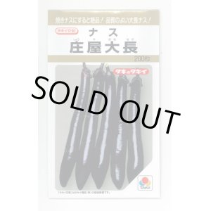 画像: 送料無料　[なす]　庄屋大長　200粒　タキイ種苗(株)