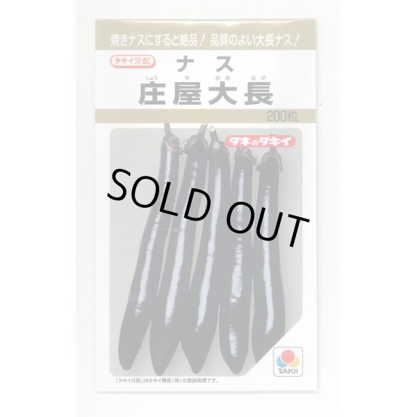 画像1: 送料無料　[なす]　庄屋大長　200粒　タキイ種苗(株) (1)