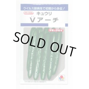 画像: 送料無料　[キュウリ]　Ｖアーチ　10粒　タキイ種苗(株)　DF