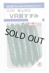 画像: 送料無料　[キュウリ]　ＶＲ夏すずみ　13粒　タキイ種苗(株)　DF