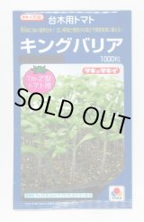 画像: 送料無料　[台木/トマト用]　キングバリア　1000粒　タキイ種苗(株)