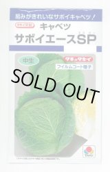 画像: 送料無料　[キャベツ]　サボイエースSP　160粒　タキイ種苗(株)　DF