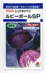 画像: 送料無料　[キャベツ]　ルビーボールSP　130粒　タキイ種苗　DF