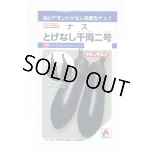 画像: 送料無料　[なす]　とげなし千両二号　35粒　タキイ種苗(株)　DF