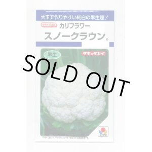 野菜種 ブロッコリー・カリフラワー の通販 グリーンロフトネモト通信