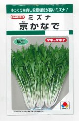 画像: 送料無料　[葉物]　水菜　京かなで　4.5ml　タキイ種苗(株)　GF