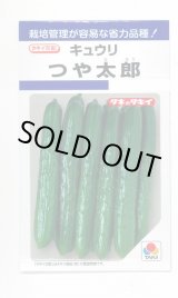 画像: 送料無料　[キュウリ]　つや太郎　15粒　タキイ種苗(株)　DF